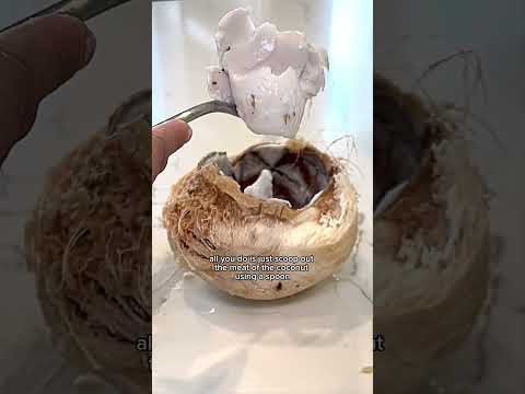 COCONUT HACK ✨Part 3: How To Make Coconut Cream #foodhacks #coconut #hacks #tips #cookingtips