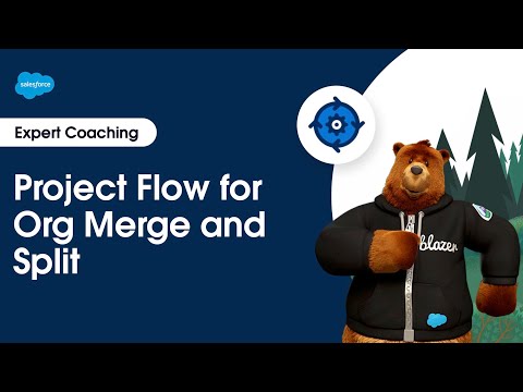 Project Flow for Org Merge and Split | Expert Coaching