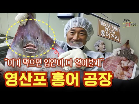 세계 최초 홍어로 해썹 인증😎위생적인 영산포 홍어 공장에서 내가 홍어인지 홍어가 나인지 모를정도로 홍어먹방하고 온 #체험상품의현장 #영산포홍어 #홍어 #나주수산