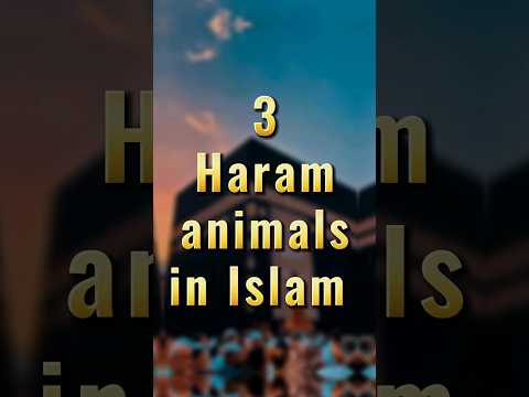 3 animals Haram in Islam | #shorts #shortsfeed #allah