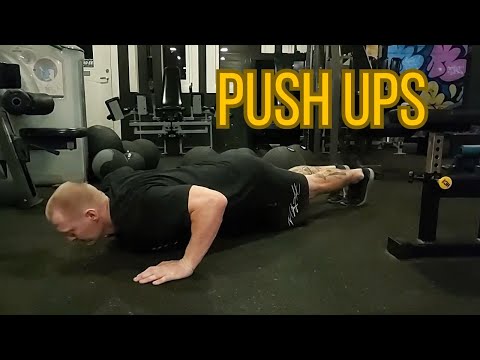 Push Ups /Gladiator Training Program