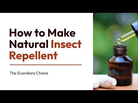 3 Ways to Make Natural Insect Repellent | The Guardian Choice