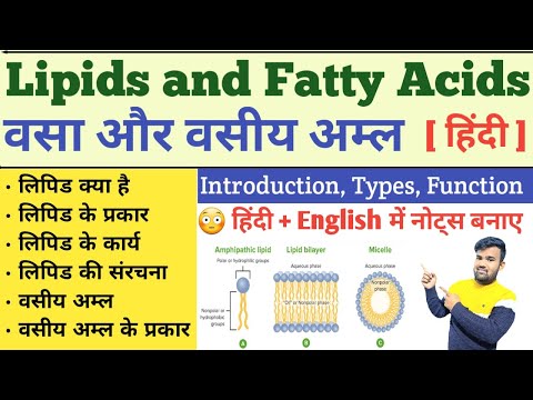 Lipid in hindi | Classification of Lipid | Fatty acids | Function of Lipid | Lipid Biochemistry