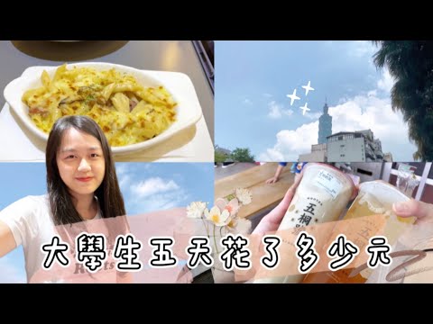 信義區五天花費🤔X 期中讀書週 | 大學生日常ep.4