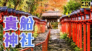 2022 Kyoto Autumn Leaves Update🍁Kifune Shrine Autumn Leaf Lantern Festival, Eizan Autumn Leaf Tunnel