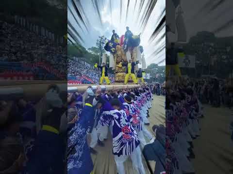 こんなに重い太鼓台でも，みんなの力がひとつになればカッコよく上がります！ #japaneseculture #matsuri #祭 #新居浜太鼓祭り #四国 #愛媛県 #unite #team