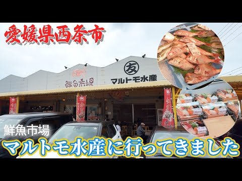 【超新鮮❗️】有名鮮魚市場！『マルトモ水産』で買い物♪美味しい料理も食べられる店！