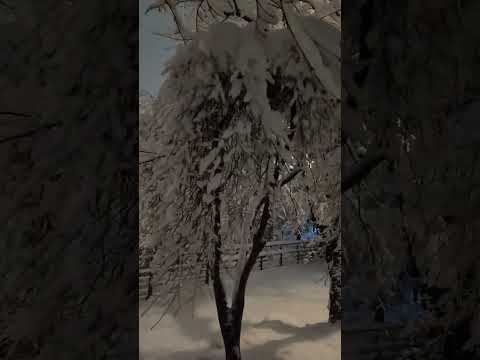 서울 눈폭탄 117년 만에 30센치 폭설 속 걷기, SEOUL HEAVY SNOWFALL 300mm.