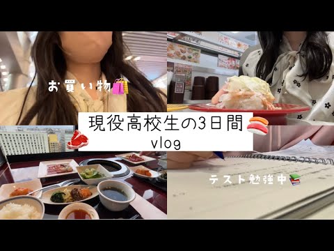 【vlog】高校2年生の3日間