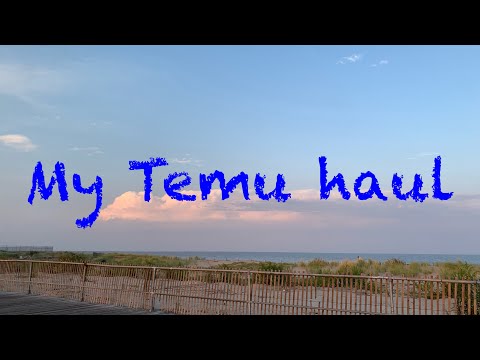 My little Temu haul