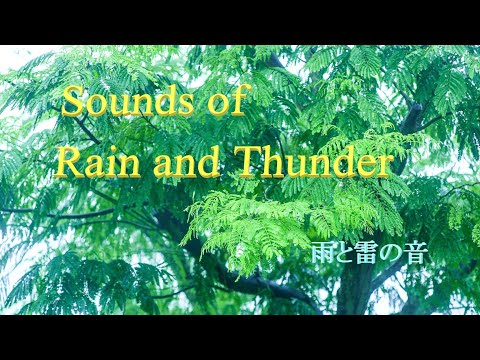 Sounds of Rain and Thunder  雨と雷の音