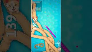 Snake.io Top Giant Snake Circling 2 Little Snake Epic Snake.io Short Gameplay