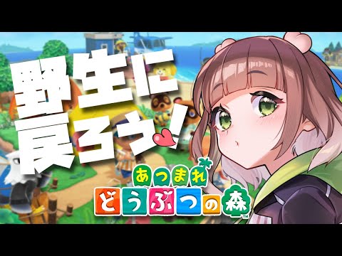 【あつ森】野生に戻りすぎ【#vtuber #新人vtuber】