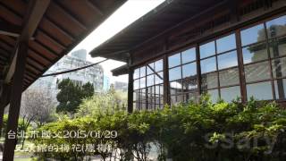 台北市國父史蹟館的梅花（臘梅）20150129