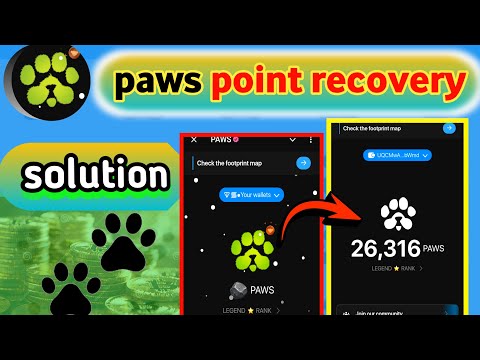 How To Get Your Stolen Paws Token Solution✅ | paws token recovery solve| Paws Airdrop Mystery Quest