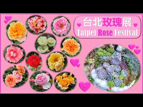 台北玫瑰展 【Taipei Rose Festival】