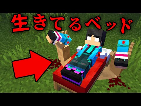 生きてるベッドの都市伝説を検証した結果...【 マイクラ / マインクラフト 】