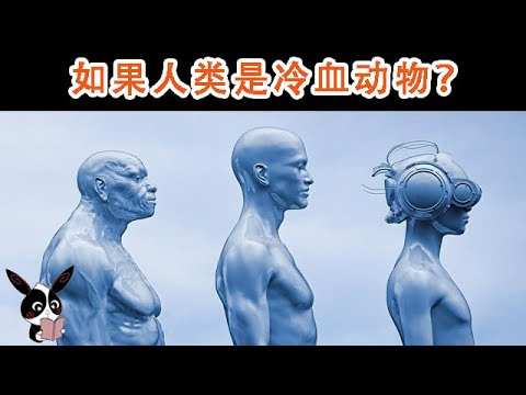 如果人类是冷血动物，将会发生什么？