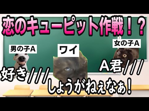 両想いの友達のためにカンニングした話【猫ミーム】