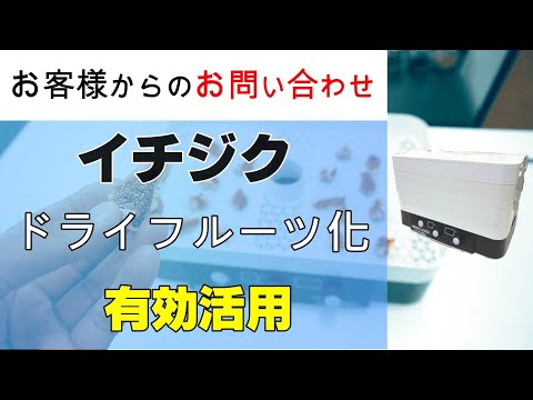 イチジクを乾燥イチジクに加工処理して付加価値を付けて有効活用したい【お問い合わせ】