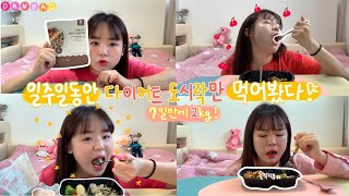 🙄 일주일동안 다이어트 도시락을 먹으면 살이 빠질까? 🙄 | 다노한끼 도시락 | 솔직 리뷰 | 단바 다이어트