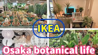 🍃Osaka botanical life🍃IKEA鶴浜店に行ってきました🤩ボタニカル結構あるよー、家具や照明も撮ってきました。