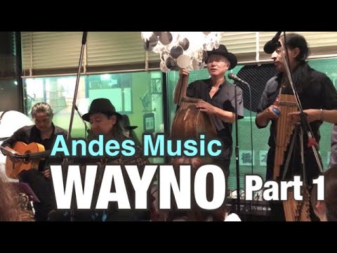 Hidden Japan 26    ウェイノライヴ 前編　Andes music band WAYNO・Part1