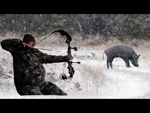 BOW Hunting The TEXAS WINTER FREEZE {Catch Clean Cook}