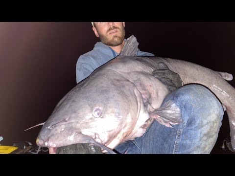 Everything Went Wrong While Fighting This Giant Catfish