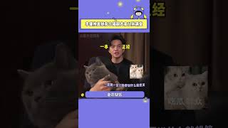 #李健抱著絕育小貓祝大家兒孫滿堂 #貓咪 ：這合理嗎，你看著我的眼睛再說一次呢？？#李健 #搞笑