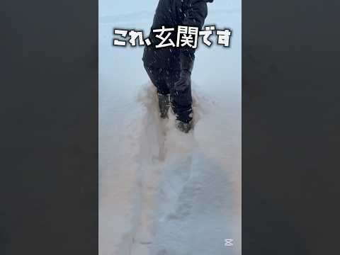 毎日この量の雪が降ります...2025年大雪　大寒波　#雪国の暮らし #田舎暮らし 鬼嫁とボクの日常