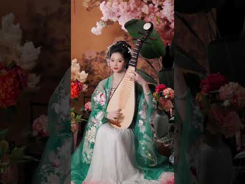 遇見她 如春水映梨花 #遇見她如春水映梨花 #琵琶