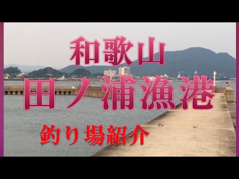 和歌山　田ノ浦漁港　釣り場紹介　魚影濃い タチウオ釣れてます　トイレ、自販機完備