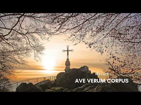 [1HR, Repeat] Ave Verum Corpus by the Priests