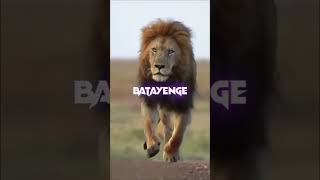 Lion Attitude shayari status Shayari status Attitude shayari #youtubeshorts#viral#shayari#shorts