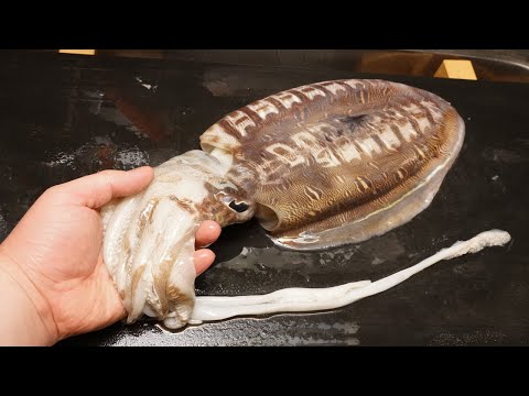 スミイカのさばき方とイカ墨肝炒め-How to fillet Cuttlefish  and Squid ink stir-fry-