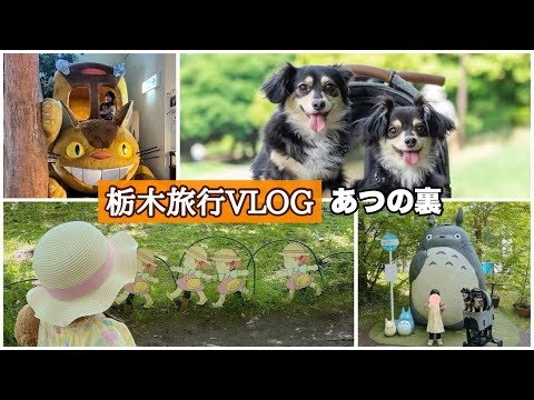 【愛犬と旅行】3歳と0歳と行く那須旅行！！【あつの裏】