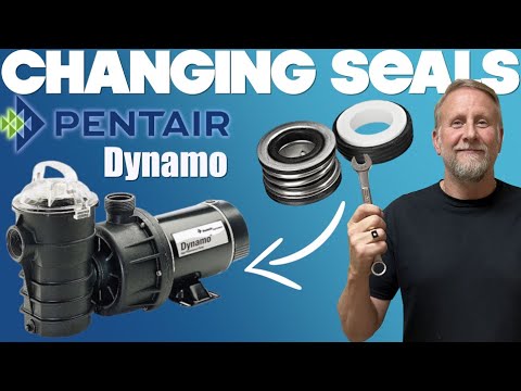 How to Change Seals on a Pentair Dynamo Pool Pump!