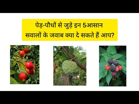 पेड़-पौधों से जुड़े इन 5 आसान सवालों के जवाब क्या दे सकते हैं आप? ||  #letsgardenup #gardeningtips