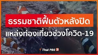 ธรรมชาติฟื้นตัวหลังปิดแหล่งท่องเที่ยวช่วงโควิด-19 (26 พ.ค. 63)