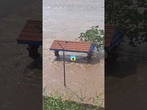 konaseema #godavari #ytshorts #ytviral #floods #trendingshorts