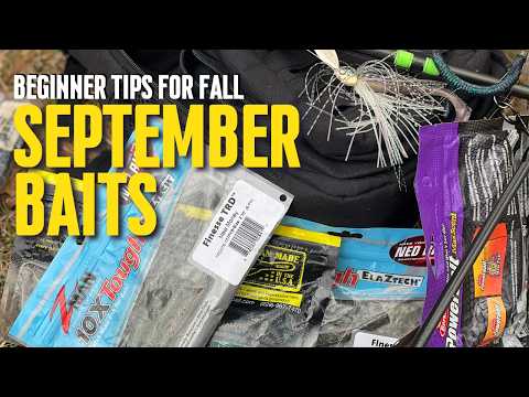 Beginner Baits for September (Fishing the Fall Transition)