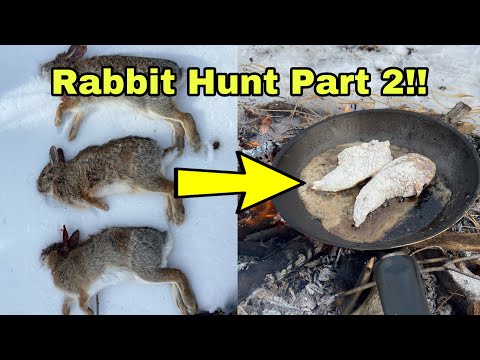 Rabbit Catch Clean Cook! |AMAZING HUNTING TURNS INTO GREAT DISH|