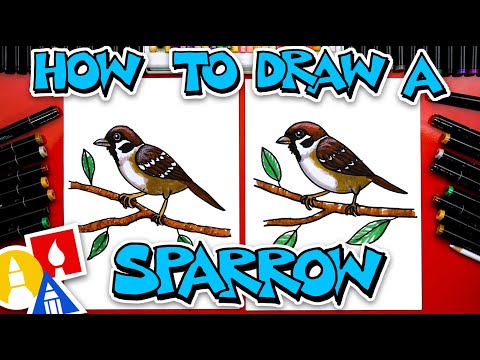 How To Draw A Sparrow