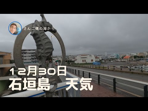 【石垣島天気】12月30日8時ごろ。15秒でわかる今日の石垣島の様子。