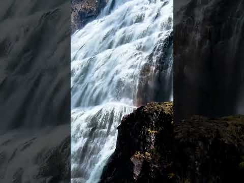 Unveiling the Beauty of Dynjandi Waterfall Iceland #shorts