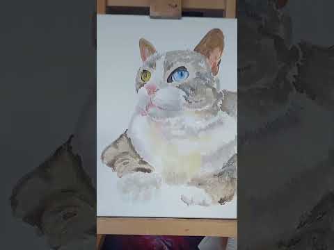 #cat #comission #kitten #petportrait #petportraitartist #artist #art #acrylicpainting #painting #wip