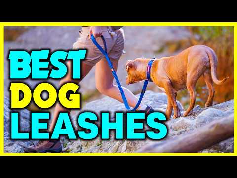 👌Top 5: Best Dog Leashes in 2024 - The  Best Dog Leashes{Reviews}