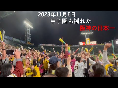 【甲子園が揺れた。阪神タイガースの日本一の瞬間】ムーンスカイが甲子園に行ってきました‼（パブリックビューイング）