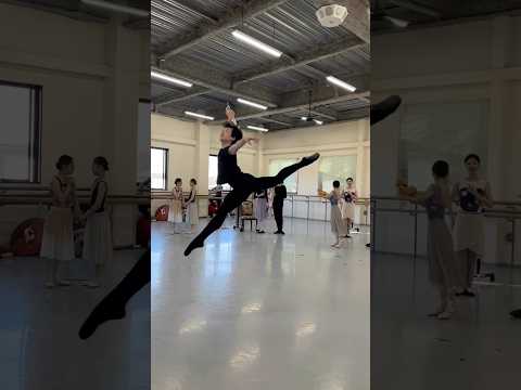 フリッツ　中山諒/Ryo Nakayama #ballet #dance #nbaバレエ団 #shorts #funny